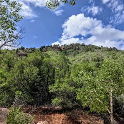 Kolob Canyons - On Taylor Creek Trail