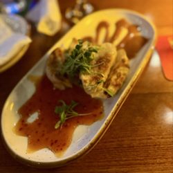 Clear Sky Draught Haus - Potstickers
