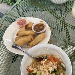 Tararine, Thai Cuisine - Green curry, fried tofu, spring rolls.... Awesome!
