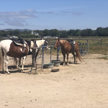 Pacific Dunes Riding Ranch - Horseback Riding Near Me - Oceano, California Pacific Dunes Riding Ranch - Horseback Riding Near Me - Oceano, California