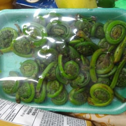 Supermarché PA - Fiddle Heads are super weird (and therefore cool)!