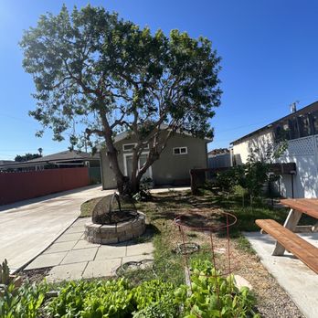 Reynoso Tree Service - AFTER PHOTO. Look at that cleanup!!! - Tree Services Near Me - Hawthorne, California Reynoso Tree Service - AFTER PHOTO. Look at that cleanup!!! - Tree Services Near Me - Hawthorne, California