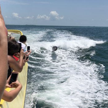 Dolphin Racer Speedboat - Tours Near Me - South Pasadena, Florida Dolphin Racer Speedboat - Tours Near Me - South Pasadena, Florida