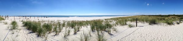 Cape May National Wildlife Refuge by null