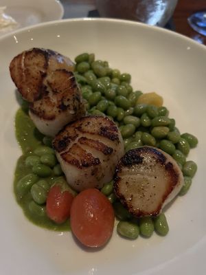 Metacom Kitchen by null