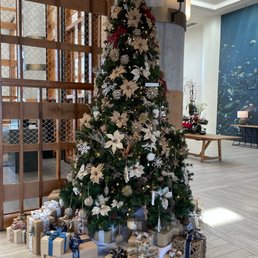 Beautiful Tree in Lobby Area Beautiful Tree in Lobby Area