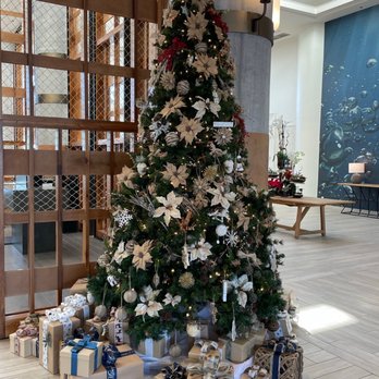 westdrift Manhattan Beach, Autograph Collection - Beautiful Tree in Lobby Area - Hotels Near Me - Manhattan Beach, California westdrift Manhattan Beach, Autograph Collection - Beautiful Tree in Lobby Area - Hotels Near Me - Manhattan Beach, California