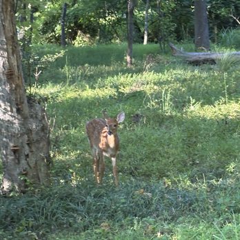 Bryn Mawr Park - Parks Near Me - McLean, Virginia