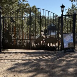 Colorado Wolf and Wildlife Center