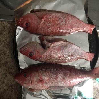 Fishy Fish Market - Fresh Snapper - Seafood Markets Near Me - Charlotte, North Carolina