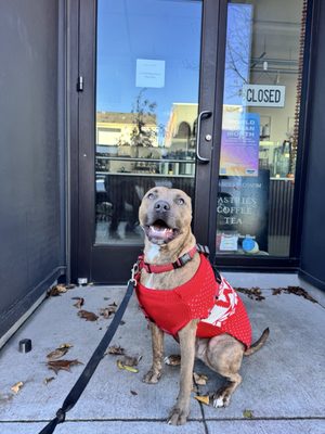 Orange & Blossom Patisserie by null Orange & Blossom Patisserie by null