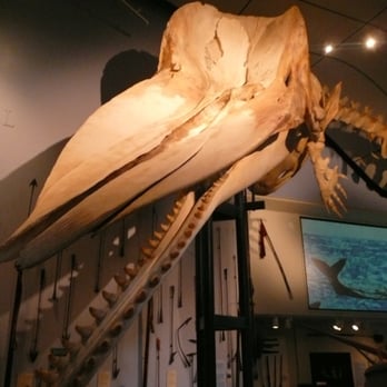 Nantucket Historical Association - Museums Near Me