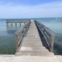 Photo of Clement Taylor Park