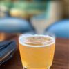 Steady Brewing gift card
