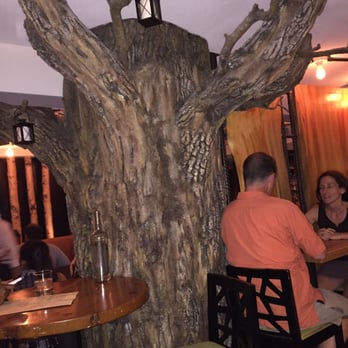 Firefly - Tree inside the restaurant - New American Near Me - Washington, DC, District of Columbia Firefly - Tree inside the restaurant - New American Near Me - Washington, DC, District of Columbia