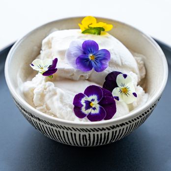Vagabond - Homemade Coconut Ice Cream - Bars Near Me - Washington, DC, District of Columbia Vagabond - Homemade Coconut Ice Cream - Bars Near Me - Washington, DC, District of Columbia