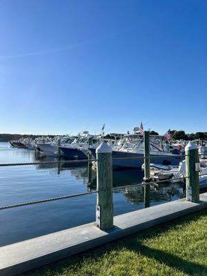 Summer Shanty by null