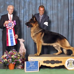 Woodside German Shepherds