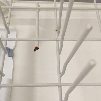Access Asset Management - The dish washer rack back in 2018, that we paid to have repaired with our deposit - Property Management Near Me - Lake Elsinore, California Access Asset Management - The dish washer rack back in 2018, that we paid to have repaired with our deposit - Property Management Near Me - Lake Elsinore, California