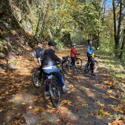 Cycle Portland - Bike Tours, Rentals, Repairs - Our riding group, somewhere on the Leif Erikson Trail.