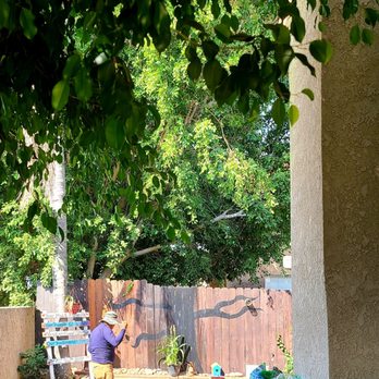 Green Forever - Process in motion! - Landscaping Near Me - Hesperia, California