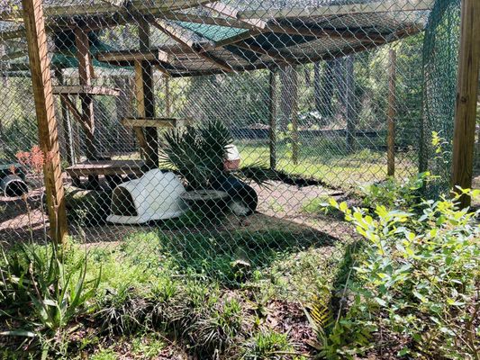 The Catty Shack Ranch Wildlife Sanctuary by null