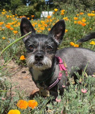 Polliwog Park by null