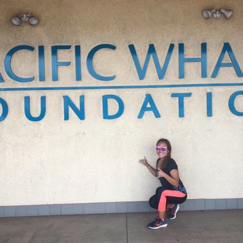 Run & Walk For Whales - Needed to get one under the signage:) - Races & Competitions Near Me - Wailuku, Hawaii Run & Walk For Whales - Needed to get one under the signage:) - Races & Competitions Near Me - Wailuku, Hawaii