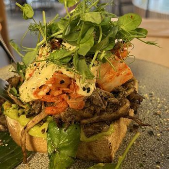 Coffee & Coconuts - Kimchi Toast - Coffee & Tea Near Me - Amsterdam, New Hampshire Coffee & Coconuts - Kimchi Toast - Coffee & Tea Near Me - Amsterdam, New Hampshire