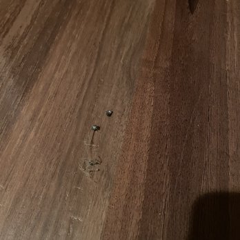 Stellar Home Services - These were bugs that were in an easily accessible corner of a room! - Home Cleaning Near Me - Kansas City, Missouri Stellar Home Services - These were bugs that were in an easily accessible corner of a room! - Home Cleaning Near Me - Kansas City, Missouri
