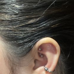 Knight Times Tattoo - Conch and rook piercing