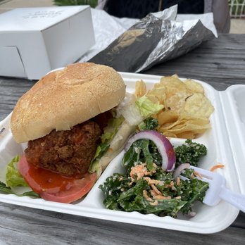 Cat's Luck - Vegan Near Me - Neptune City, New Jersey Cat's Luck - Vegan Near Me - Neptune City, New Jersey