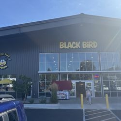 Black Bird