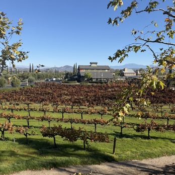 Ponte Winery - Vineyard - Wineries Near Me - Temecula, California