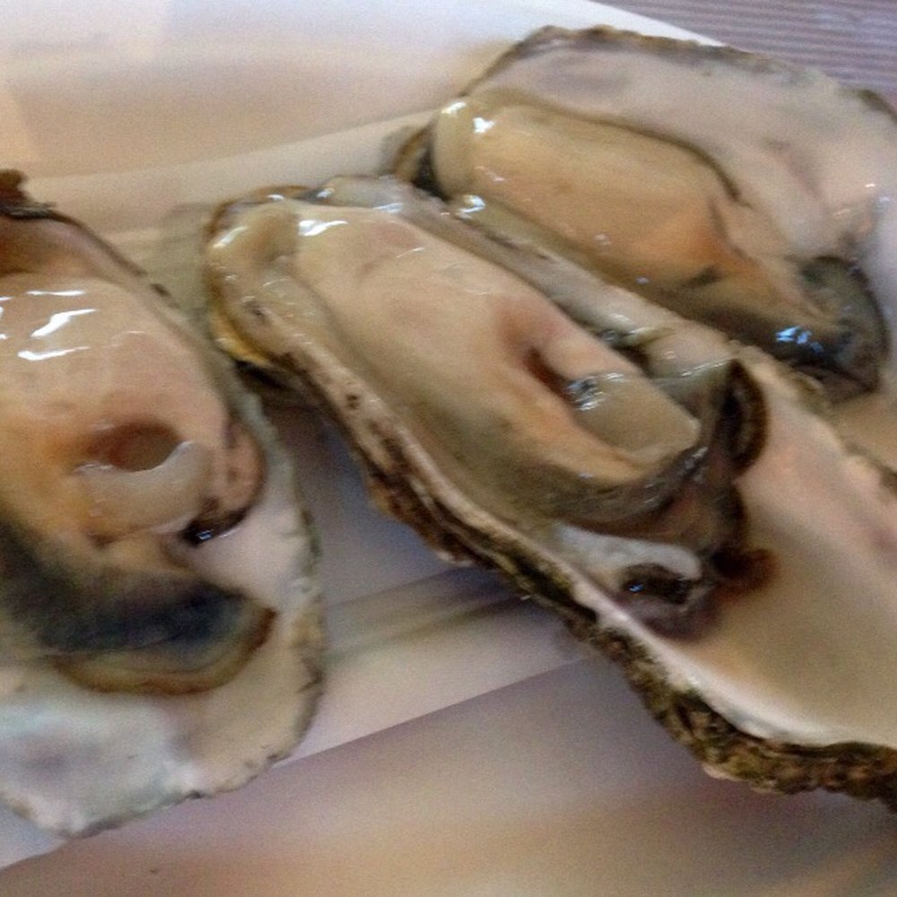 Markthalle Neun - Oysters, 2 euros each - Public Markets Near Me - Berlin, BE Markthalle Neun - Oysters, 2 euros each - Public Markets Near Me - Berlin, BE