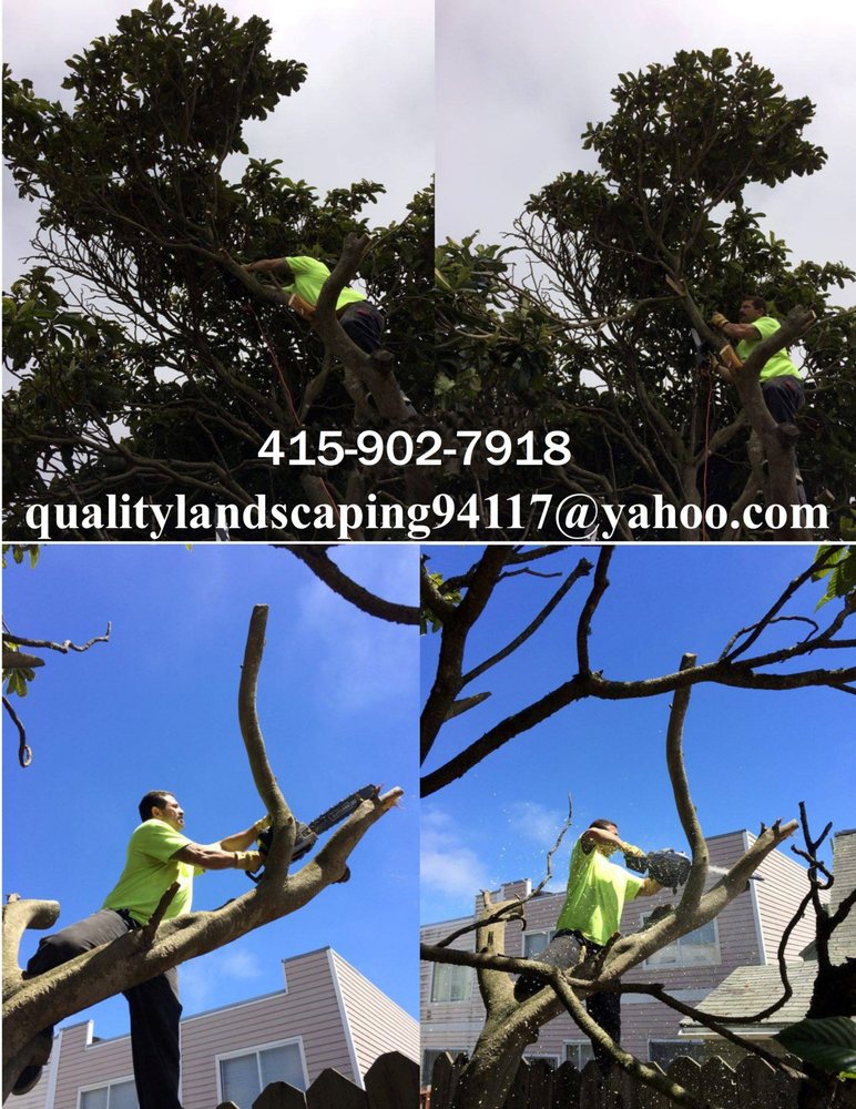 RJP Quality Landscaping - tree service in San Francisco, CA