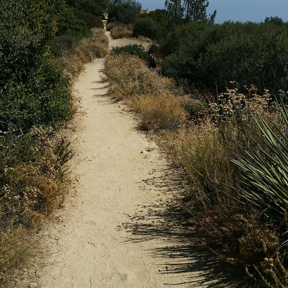 Echo Mountain via the Sam Merrill Trail - This is the final stretch to finish line - Parks Near Me - Altadena, California Echo Mountain via the Sam Merrill Trail - This is the final stretch to finish line - Parks Near Me - Altadena, California