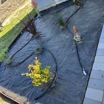 Fern's Complete Landscape & Construction Services - Dripping watering system in place - Landscaping Near Me Fern's Complete Landscape & Construction Services - Dripping watering system in place - Landscaping Near Me