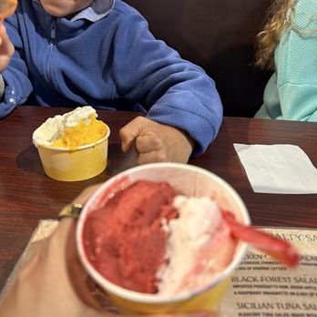 Cafe del Hidalgo - Half eaten combo of Wild Berry and Grapefruit. 10/10 - Gelato Near Me - St. Augustine, Florida