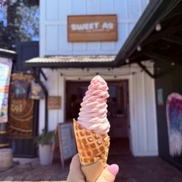 Ice Cream Waffle Cone Ice Cream Waffle Cone