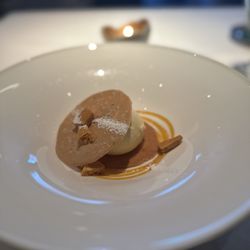 user provided Aria photo