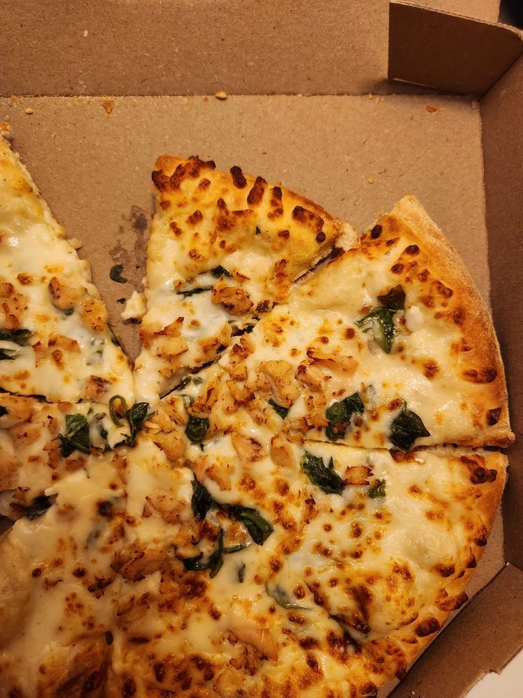 Domino's Pizza Logo