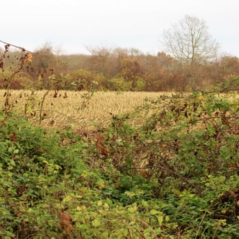 Sakonnet Greenway Trail - Marsh land - Hiking Near Me - Hope Valley, Rhode Island