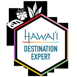 Bucket List Complete -April Hollis - A colorful polygon with words in the center that read Hawaii Destination Expert