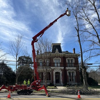 Franklin Tree Service - Tree Services Near Me - Franklin, Tennessee Franklin Tree Service - Tree Services Near Me - Franklin, Tennessee
