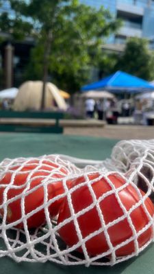 Sandy Springs Farmers Market by null