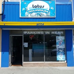 Lotus Aquarium