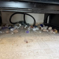 Maria Pro Cleaning Services
