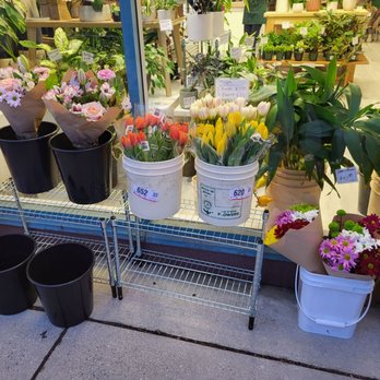 Monet Floral Art - All types of colorful, happy flowers - Florists Near Me - Vancouver, British Columbia Monet Floral Art - All types of colorful, happy flowers - Florists Near Me - Vancouver, British Columbia