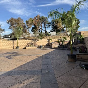 Palm Plantation - Palm trees delivered and set next to were they are being planted - Nurseries & Gardening Near Me - Riverside, California